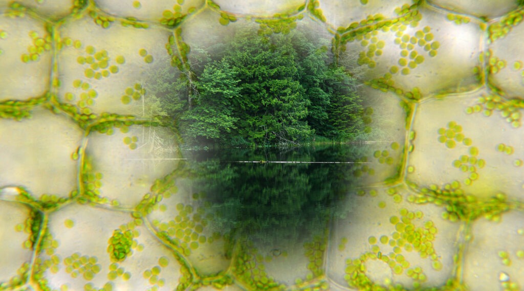 Materials Chalmers Industriteknik